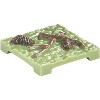 Monster Adventure Terrain 50pc Grass Pinecone Tile Pack - Hand-Painted 1x1" Tile Set- Customize Your D&D & Pathfinder Dungeons - 3 of 4
