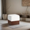 Meridian Furniture,Havre Velour Fur Fabric Ottoman/Stool - 2 of 4