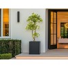 homfan Artificial Olive Tree LED Lights - Fake Potted Plant for Home/Office Decor - Indoor Black Nursery Pot - 4 of 4