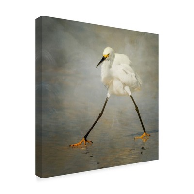 Trademark Fine Art -Alfred Forns 'The Rock Star' Canvas Art