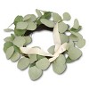 Eucalyptus Fall Wreaths - Bullseye's Playground™ - 3 of 4