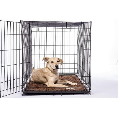 Medium Cool Grey and Lime Green Outdoor Dog Doormat