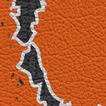 clemson tigers