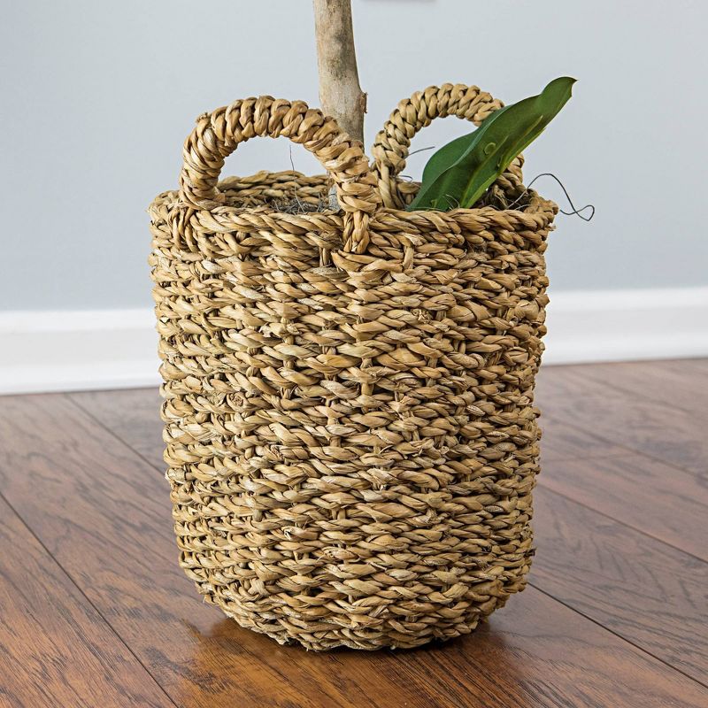 30&#34; x 16&#34; Artificial Fig in Basket with Handles - LCG Florals, 4 of 11