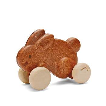 Wooden Push Pull Toys (3 Pack, Rabbit, Duck, Turtle, 4.5 in tall