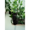 On2Pets Rectangle Cat Canopy Shelves - Green - 2ct - 3 of 3