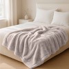 Solid Soft Heavy and Thick Plush Mink Throw Blanket - Trademark Global - 2 of 4