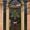 National Tree Company Pre-Lit Artificial Christmas Hanging Snowflake, Green, Dunhill Fir, with Pine Cones, Berry Clusters, Frosted Branches,32 Inches - 2 of 3