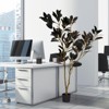 NicBex Dual-Tone Artificial Plant, Fake Iron Tree Floor Faux Plant for Living Room Office Corner, Luxury Indoor/Outdoor Bonsai Decor - 2 of 4