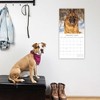 2026 Square Wall Calendar, German Shepherds, 16-Month Paw Prints Theme with 180 Reminder Stickers (12x12 In) - 2 of 4