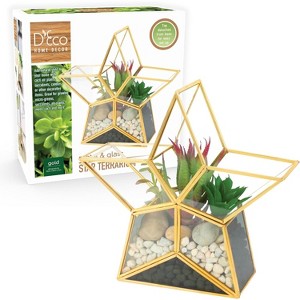 D'Eco Glass Star Terrarium- Tabletop Geometric Planter- Succulents, Moss & More- Home Garden Office Decor- Gift for Mother's Day (Terrarium Only) - 1 of 3