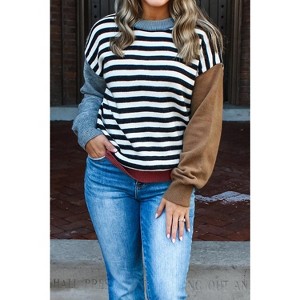 Striped Panels Colorblock Sleeve Chic Sweater - 1 of 4