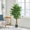 Okak 59IN Indoor Artificial Ficus Tree with Glossy Leaves and Twisted Trunk, Pre-Potted Faux Trees with Pot, Plants Decor for Home, Office, Green - 2 of 4