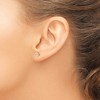 Black Bow Jewelry 6mm Round Multicolor Cubic Zirconia Stud Earrings in 14k Yellow Gold - 3 of 4
