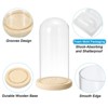 Unique Bargains Wooden Base Plants Home Decor Glass Bell Jar Display Case - 3 of 4