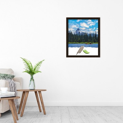 Espresso Brown Satin Wood Single Photo Frame 26" x 22"