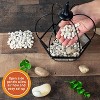 D'Eco Glass Pumpkin Plant Terrarium (7x7x8) - Indoor & Outdoor Black Trimmed Plant Display - Fall Decorations for Home - Great Decor for The Holidays - 3 of 3