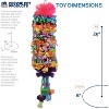 Prevue Pet Products 62607 Calypso Creations Dagwood Bird Toy, Multicolor - 2 of 3