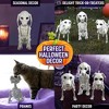 Halloween Dog Skeleton 3 Pack Indoor/Outdoor Decorations-Plastic Animal Bones for Party Table Decor, Haunted Houses- A Trio of Unique Canine Skeletons - 4 of 4