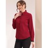 INSPIRE CHIC Women's Contrast Collar Chiffon Long Sleeve Work Office Blouse - 3 of 4