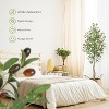 Artificial Olive Tree with Realistic Trunk, Silk Leaves & Fruits in White Pot, Faux Plant for Home or Office Decor - 2 of 4
