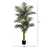 Nearly Natural 6-ft Artificial Double Stalk Golden Cane Palm Tree - 2 of 4