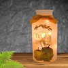 Stony Creek 7.0 Inch Beautiful Bounty Pre-Lit Sm Jar Autumn Thanksgiving Novelty Sculpture Lights - 2 of 3