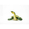 Collectible Wildlife Gifts | Turtle, Soft Shelled Turtle, Museum Quality, Rubber Reptile, Hand Painted, Realistic Toy Model, Gift,   7"   CH166 BB112 - 4 of 4