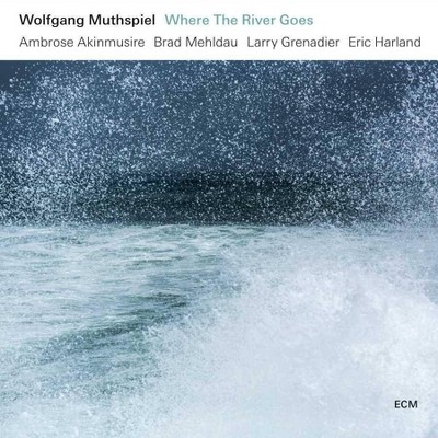 Muthspiel/Akinmusire/Mehldau/Grenadier/Harland - Where The River Goes (CD)