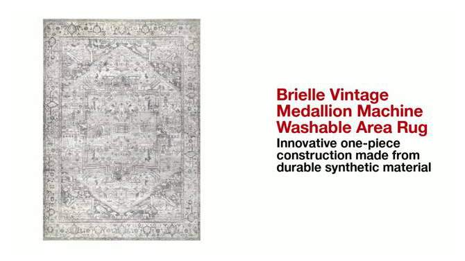 nuLOOM Brielle Machine Washable VintageTransitional Medallion Area Rug for Living Room Bedroom Dining Room Kitchen, 2 of 14, play video