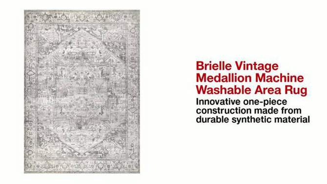 nuLOOM Brielle Machine Washable VintageTransitional Medallion Area Rug for Living Room Bedroom Dining Room Kitchen, 2 of 15, play video