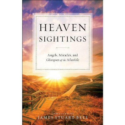 Heaven Sightings - (Paperback)