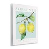 Stupell Industries Sorrento Lemon Branch Wall Plaque Art - 2 of 4