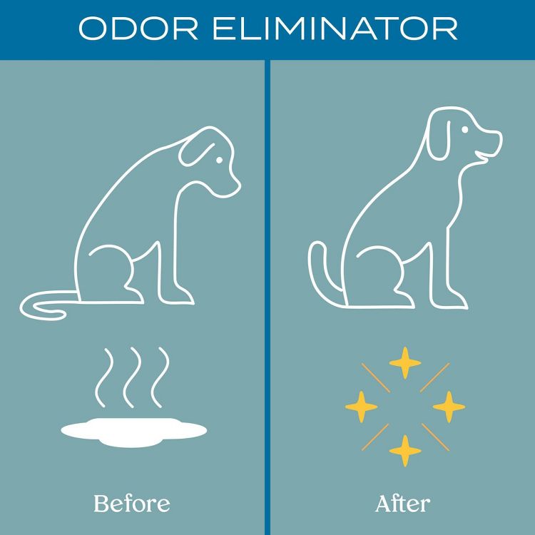 Lively Probiotic Pet Stain and Odor Remover - 16 fl oz, 6 of 8