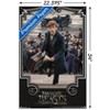 Trends International Fantastic Beasts And Where To Find Them - Newt Steps Unframed Wall Poster Prints - 3 of 4