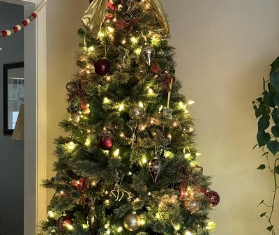 Guest review image 1 of 1, zoom in