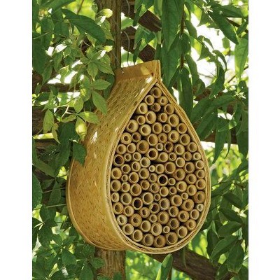 Mason Bee House Gardener S Supply Company Target