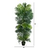 HomeStock  5.8 ft. Artificial Palm Tree in Pot for Indoor/Outdoor - 2 of 4