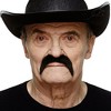 Mustaches 70's Black Moustache Adult Costume Accessory - 2 of 3