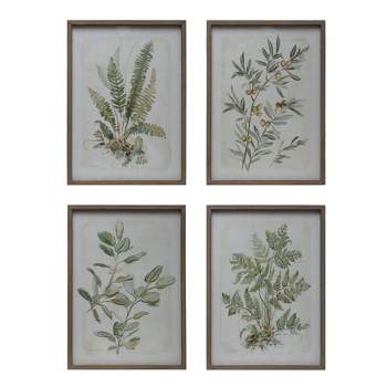 Storied Home (Set of 4) Botanical Image Wood and Glass Framed Wall Art Set Green