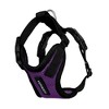 Step-in Lock Adjustable Cat Harness w. Cat Leash Combo Set with Neoprene Handle 5ft - Small, Medium and Large Breed Cats - 3 of 4
