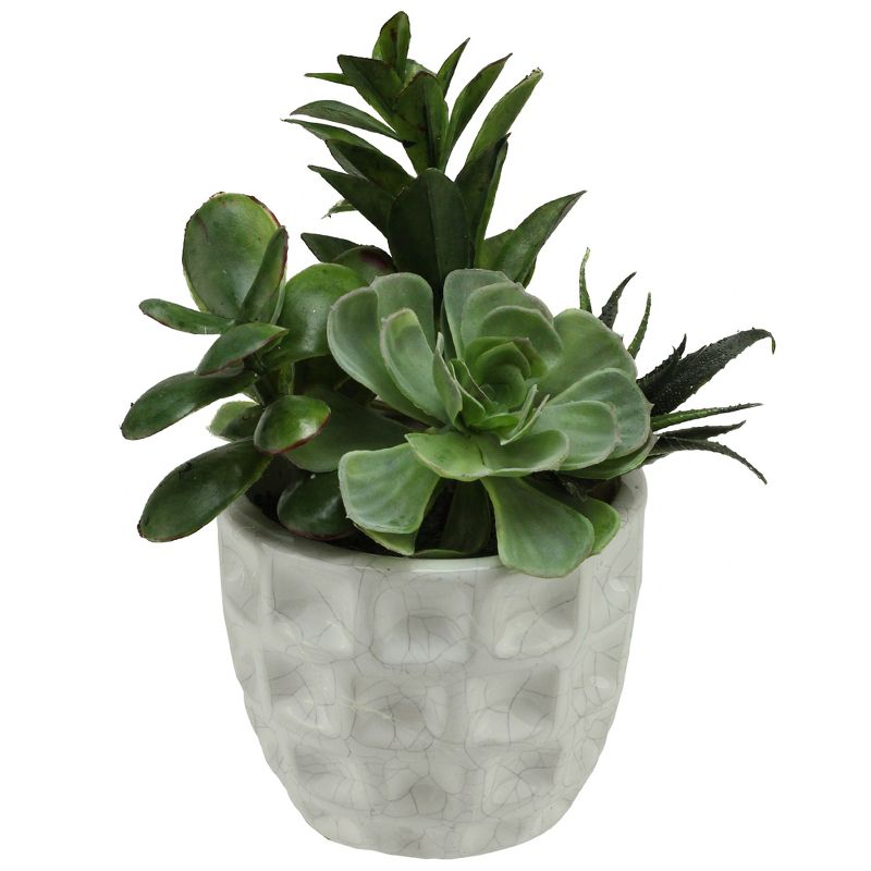 Northlight 9.5" Mixed Succulent Artificial Potted Plant - Green/White, 1 of 3