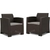 Outdoor Faux Wicker Arm Chairs Set of 2 - 2 of 4