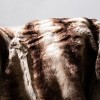 Coco Striped Throw Blanket - Milk/Chocolate - 50" x 60" - Safavieh . - 3 of 3