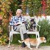 VINGLI 38" Outdoor Bench Cast Aluminium Garden Bench, White Orchid Patio Bench, Porch Bench for 1-2 Person Seat - 2 of 4
