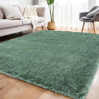 Fluffy Area Rug- Shag Area Rug for Living Room, Shaggy Large Indoor Thick Living Room Carpet with Non-Slip Backing, Soft Plush Carpet