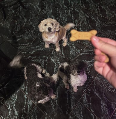 Guest review image 1 of 1, zoom in