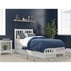Tahoe Bed with Footboard and 2 Drawers - AFI - 2 of 4