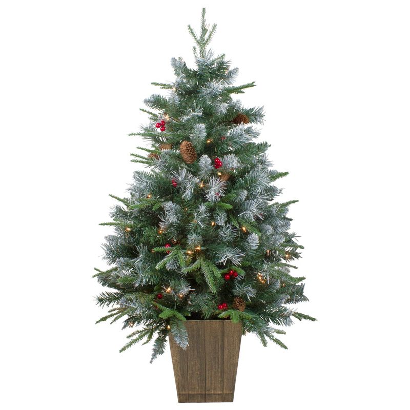 Northlight 4' Pre-Lit Frosted Mixed Berry Pine Artificial Christmas Tree in Pot - Clear Lights, 1 of 7
