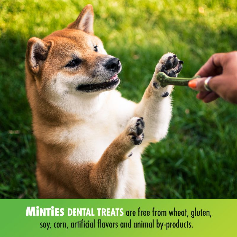 VetIQ Minties - Dental Peppermint Flavor Dog Treat - Tiny/Small, 5 of 11
